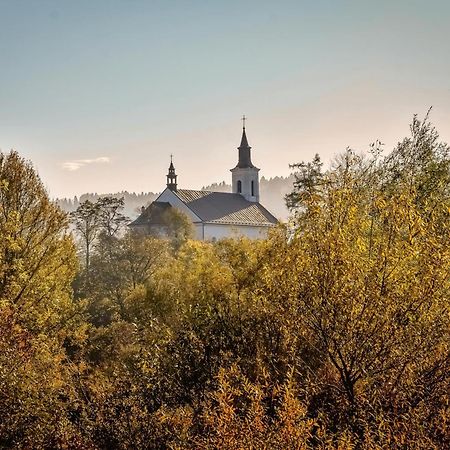 Willa Dulakówka - domek na każdą pogodę Piwniczna-Zdroj Zewnętrze zdjęcie